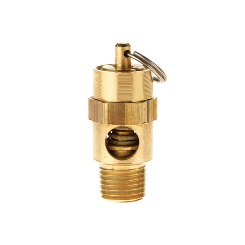 TOPRING 09.310 ASME Brass Compressed Air Safety Valve, 1/4(M) NPT