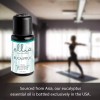 Ellia Diffuser Essential Oil Eucalyptus 15ml, 100% Pure, Therapeutic Grade,