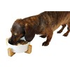 Midlee Modern Raised Pet Bowl on Stand (Single, White -