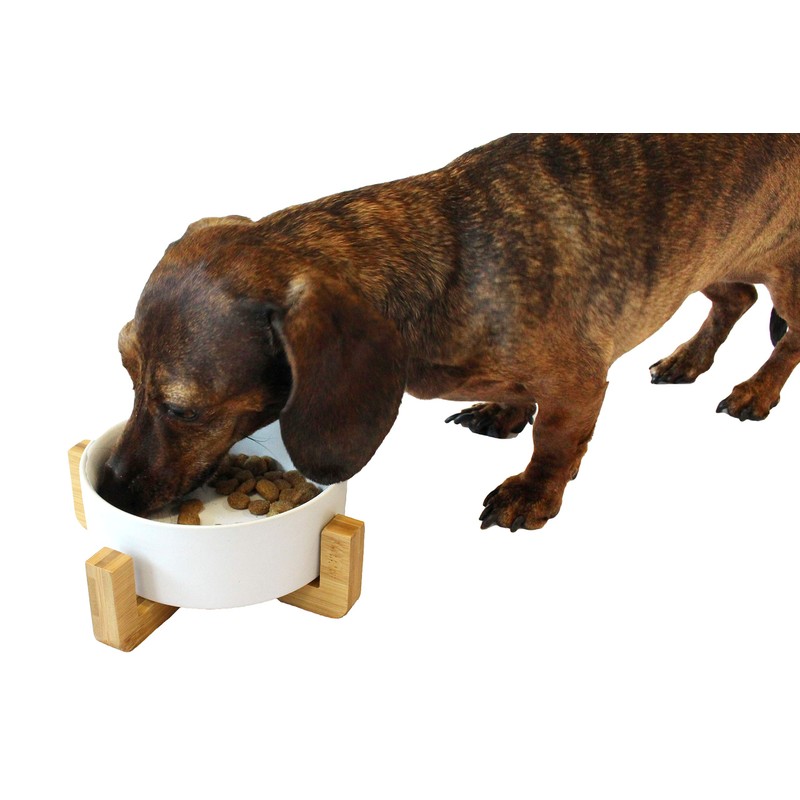 Midlee Modern Raised Pet Bowl on Stand (Single, White -