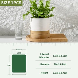 Hasense Ceramic Plant Pots Indoor Outdoor, 6 Inch Pot for Plants with Drainage Hole and Saucer for Succulent Orchid Flower Herbs Cactus, White Modern Planter for Housewarming