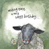 ALEX CLARK Sheep and Daises Birthday Card