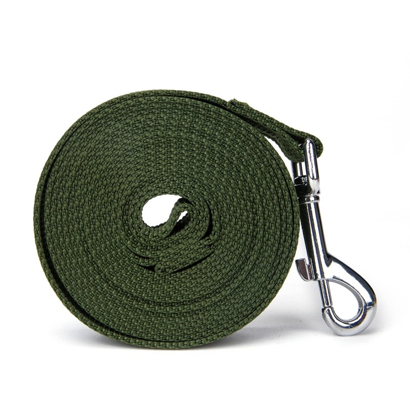 Siumouhoi Strong Durable Nylon Dog Training Leash, 1 Inch Wide