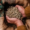 Royal Kona 10% Kona Coffee Blend, Chocolate Macadamia Flavor -