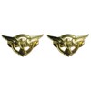 Agent Carter SSR Eagle Wings Set of 2 Metal Pins