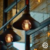 Bravelight G95 Edison Bulb, 40 W, E26/E27 Base, Ball Bulb,