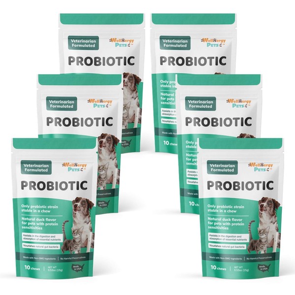 Wellnergy Daily Probiotic & Prebiotics Soft Chew for Dogs & Cats - Digestive Support for Diarrhea, Constipation, Upset Stomach, Indigestion & Gas - Helps Digestion, Allergy Skin & Immune Health 60ct