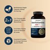 NatureBell Benfotiamine 300mg with Thiamine 100mg Per Serving | 240