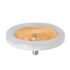 Ceiling Fan Light 30W ABS Housing 9.8in 2 in 1