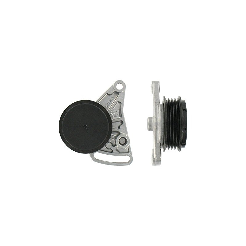 SKF VKM 31059 Multi-V tensioner kit