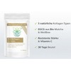 Vitaragna Multi-Collagen Complex Powder with 5 Collagen Types, Matcha, White