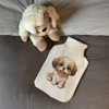 'Shih Tzu' Hot Water Bottle Cover (HW00031800)