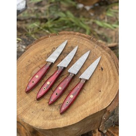 Handmade Damascus Steel Kitchen Steak Knife Set Of 4 Pieces With Leather Bag Overall 9''Inches Length of Steak Knives with Red Wood. 1046-ST-RD