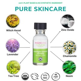 Overnight Blemish Solution Roll-On | Acne & Pimple Spot Care | Tea Tree & Plant-Based Formula | Cruelty-Free Skincare | 15 ml – Mambino Organics 2-Pack