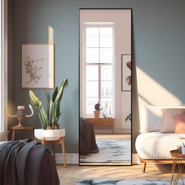 NeuType 64"x21" Full Length Mirror Floor Mirror with Standing Holder Aluminum Alloy Frame Bedroom Dressing Mirror Standing Hanging or Leaning Against Wall, Black
