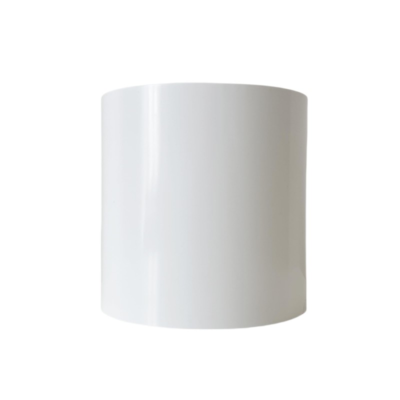4-Inch PVC Sewer Cleanout Cap Adapter Fitting, White, with Coupling