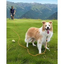 Joytale Long Leash for Dog with Removable Padded Handle, Heavy Duty Lead for Large Medium Dogs,15FT/30FT/50FT/65FT Reflective Training Leash for Play, Camping, Backyard Tie Out, Orange, 65FT