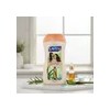 Savital Shampoo Elixir De Romero Biotina Y Sabila 510ml