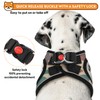 PWOD Dog Harness with Leash Set, No-Pull Step-in Reflective Pet