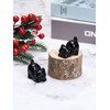 CrystalTears Black Obsidian Crystal Cat Figurine Carved Healing Crystals Gemstones