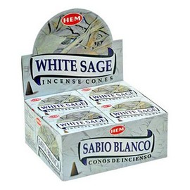 Hem White Sage Cones Incense - 4 Packs, 10 Cones per Pack by Incense