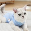 Recovery Suit Cat, Cat Bodysuit After Surgery, Cone E Collar