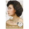 자연의 힘으로 빛나는 머릿결 헤어 염색 어두운 갈색 Shining Hair