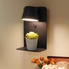 DEC LUCE DECOLUCE LIGHTING Modern LED Plug in Wall Sconce,