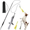 Flirt Pole for Dogs, Extendable Dog Flirt Pole with Detachable