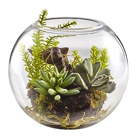 Nearly Natural Mix Succulent Garden with Glass Vase