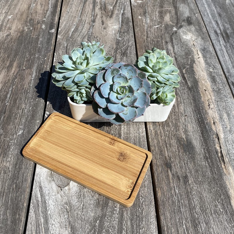 Selections White Succulent Trough Pot, Outdoor, Small
