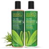 DESERT ESSENCE Tea Tree Replenishing Shampoo 12.9 fl oz