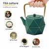 Tea Kettle, TOPTIER Japanese Cast Iron Teapot with Stainless Steel