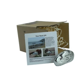 Pirantin 16th Anniversary You are My Rock Gift Idea - Solid Metal Heavy Polished Rock Gift for 16 Year Anniversary