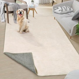 RUGSREAL Washable Contemporary Area Rug Low-Pile Solid Modern Area Rug Non-Slip Stain Resistant Home Office Solid Rug for Living Room Bedroom Kids Room, 5' x 7' Cream-White