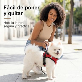 SAN KARA Arnés para Perros y Gatos Pequeños con Correa 1.5 m, Arnés Tipo Chaleco Transpirable de Malla, Diseño Deportivo con Estampado de Pelotas, Aju