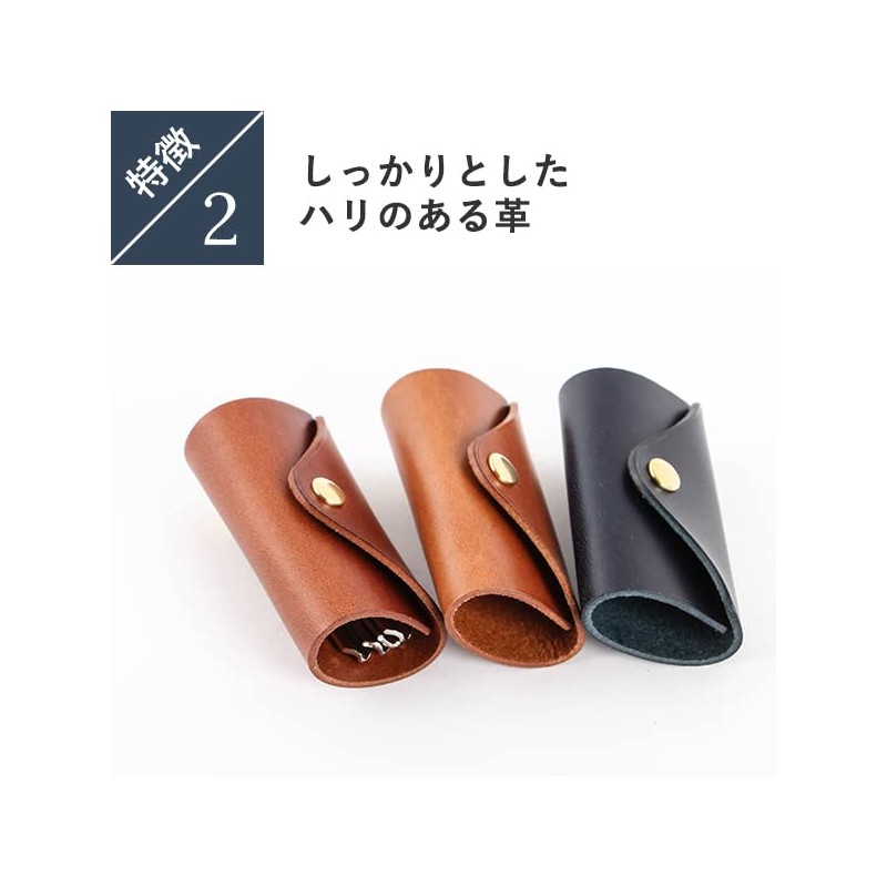 [Lemma] carta Slide Key Case, M, blue