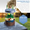 Discovery Mindblown Terrarium Grow Kit
