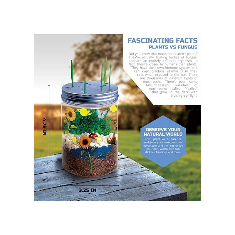 Discovery Mindblown Terrarium Grow Kit
