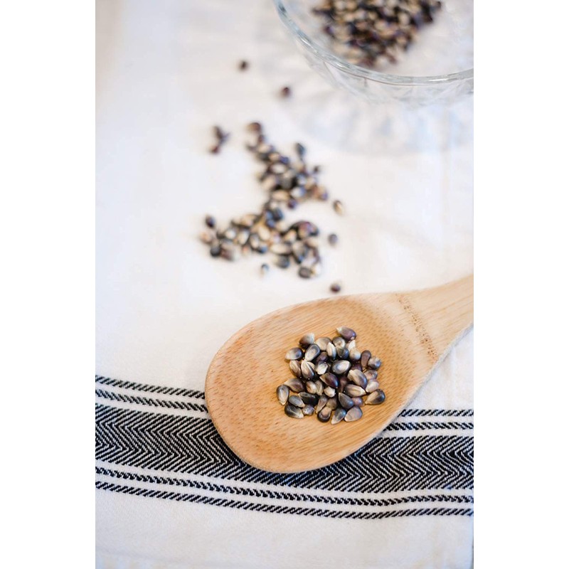 Amish Country Popcorn | 25 lb Bag | Blue Popcorn