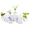 Glass Bud Vase for Centerpieces, 12Pcs/4Sets Glasseam Modern Clear Mini