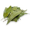 Dried Eucalyptus Leaves 85g - 1.95Kg Premium Quality Eucalyptus Globulus
