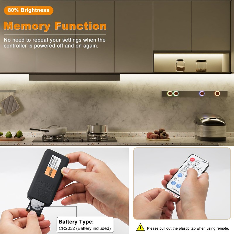 PAUTIX 2-Way LED Dimmer Controller with RF Remote for Single