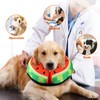 Dog Recovery Inflatable Collars Soft Donut Collar for Dogs and