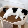 SHENGOCASE Modern Cat Tree Tower, Extra Large Platform Couch Sofa