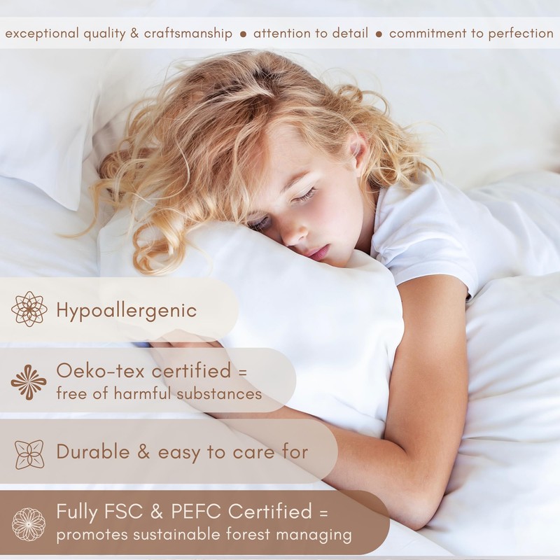 The Silk Lady Pillowcase 100% Organic Pure Mulberry Silk, Luxury