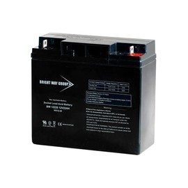Bright Way Group 12V 22AH SLA Battery NB Terminal