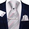Hi-Tie Classic Mens Silk Ties Set 4 PCS Necktie Pocket