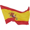 European 2024 World Cup International Flags - 90x150 cm -