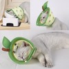 Paifeancodill Adjustable Cat Cone Collar, 2 Pcs Soft Cat Recovery